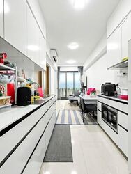 Parc Botannia (D28), Condominium #574046511